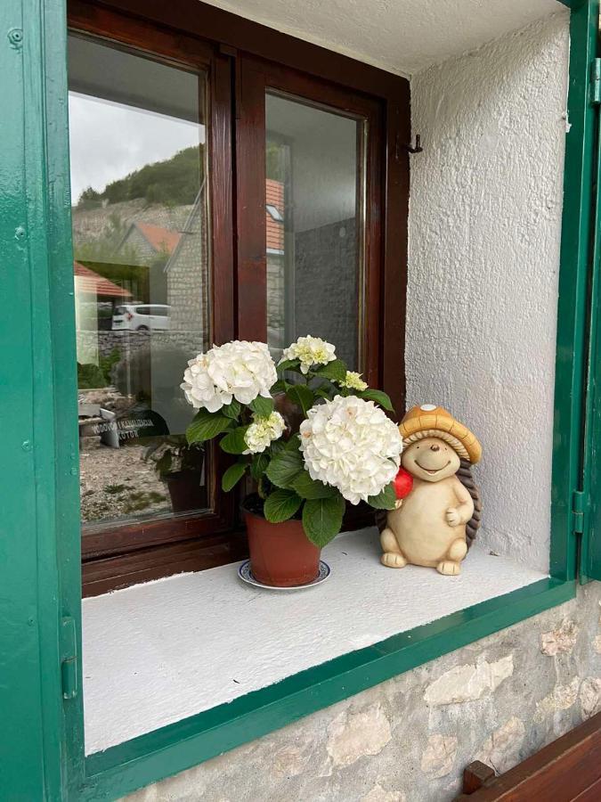 Guest House Markovic Lovcen Cetynia Zewnętrze zdjęcie